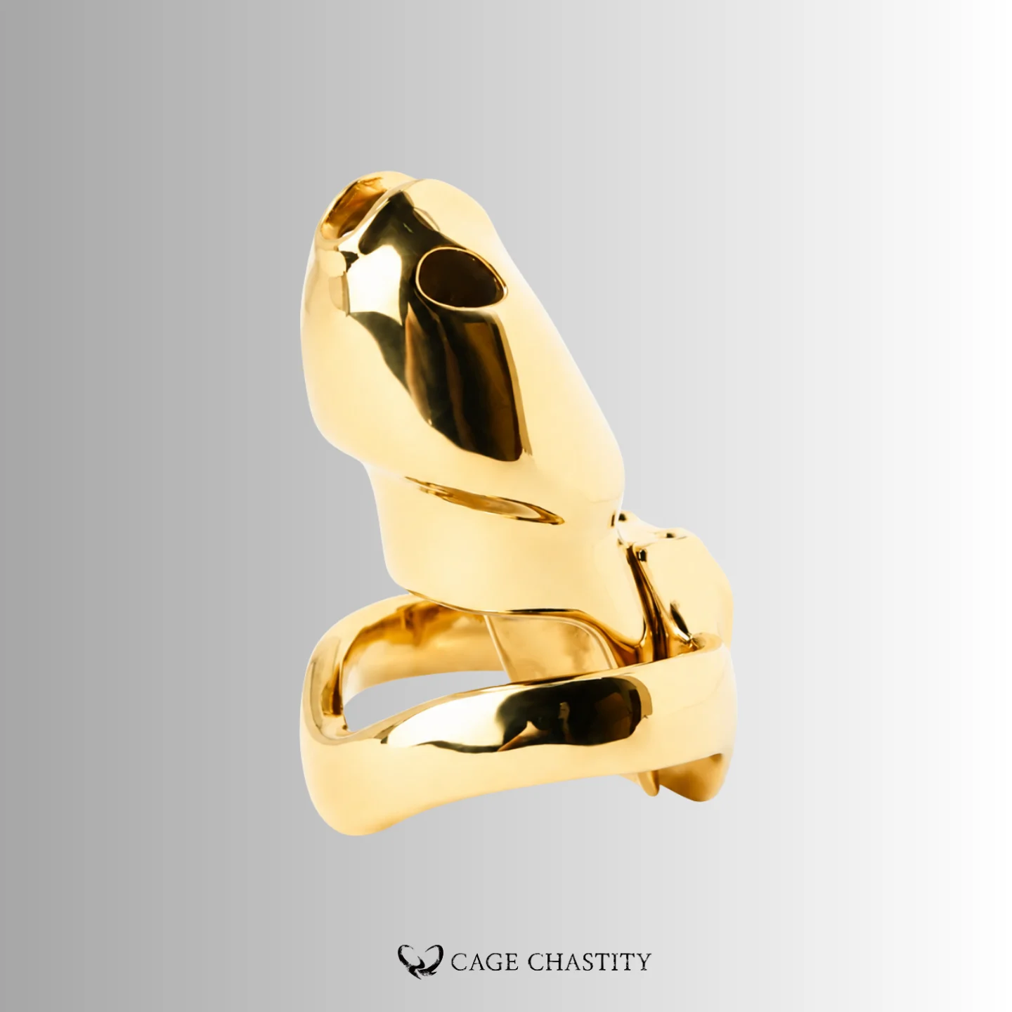 up right position of the gold htv4