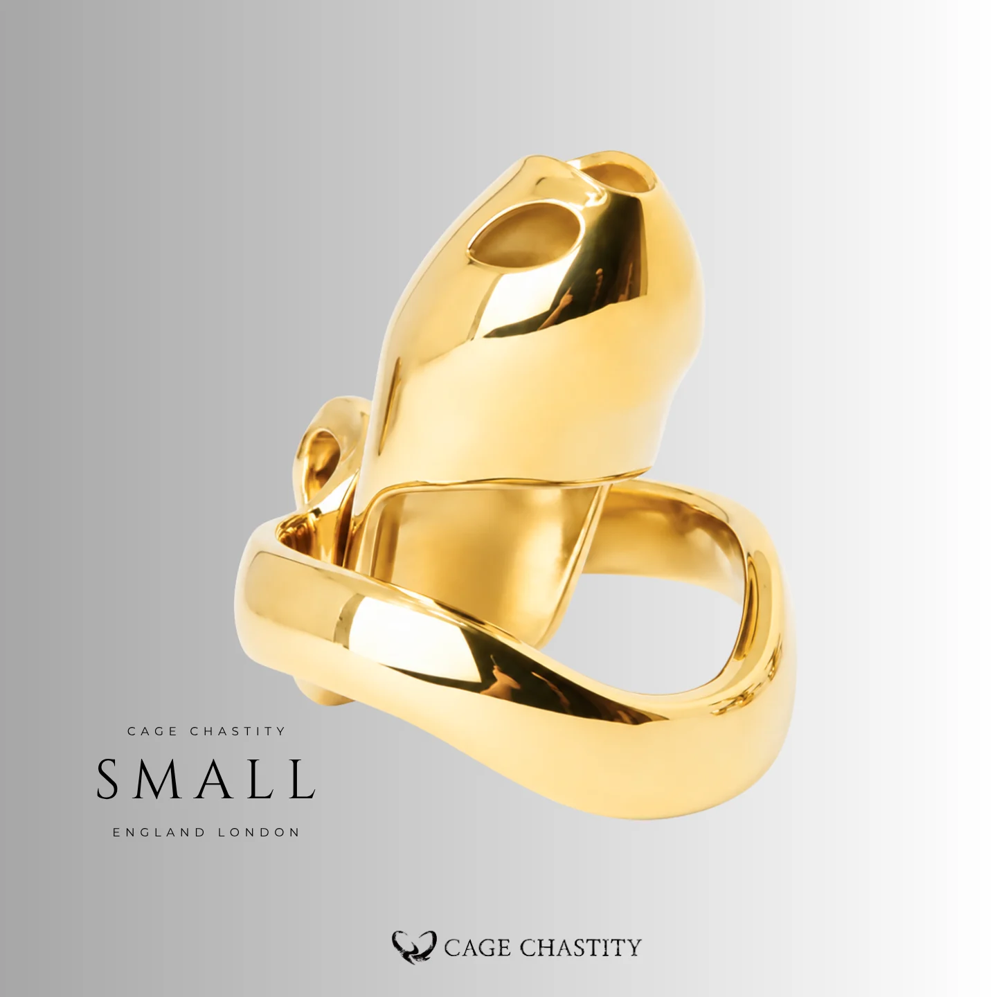 small htv4 gold edition