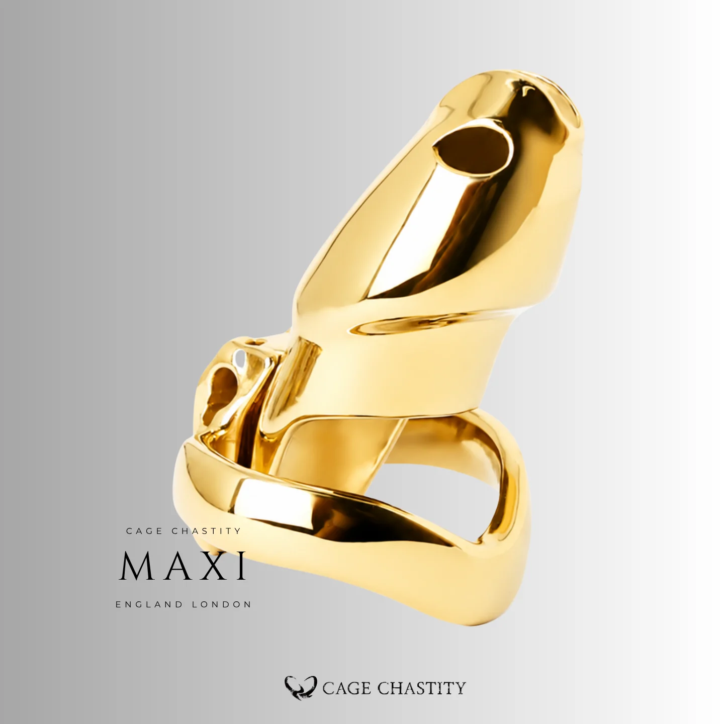maxi gold htv4