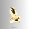 up right position of the gold htv4
