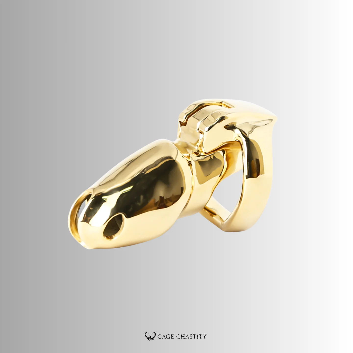 side view of the gold htv4