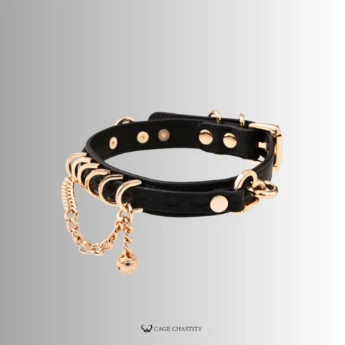 the lock of the collar