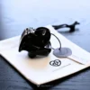 the tiny black htv4