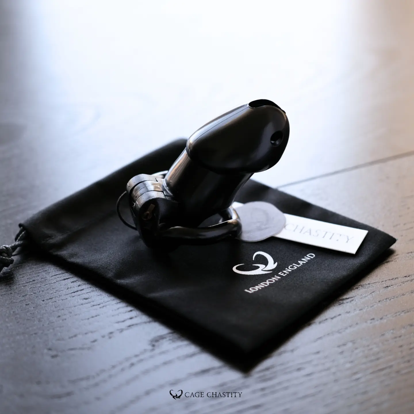 Holy Trainer V2