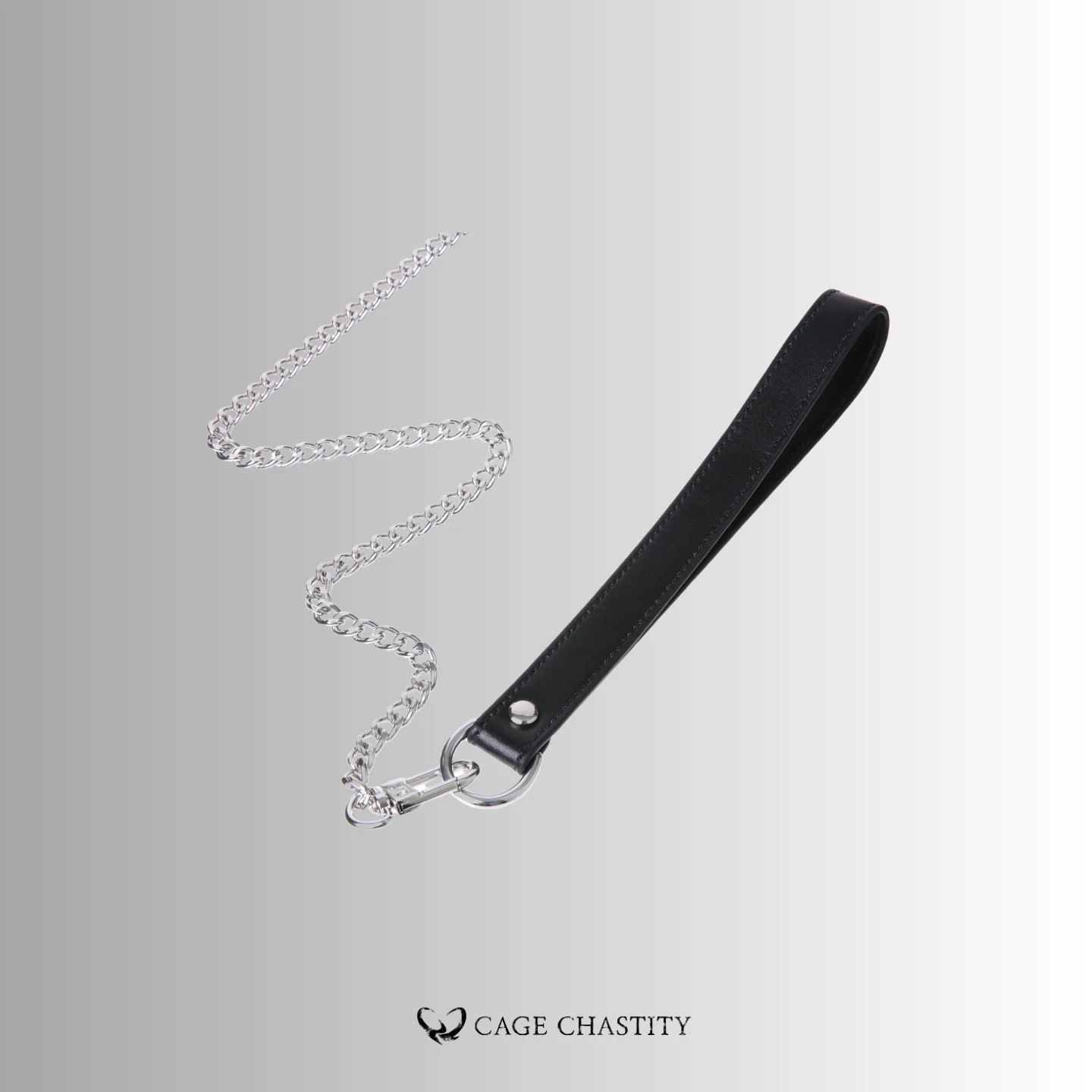 the matching leash in silver color