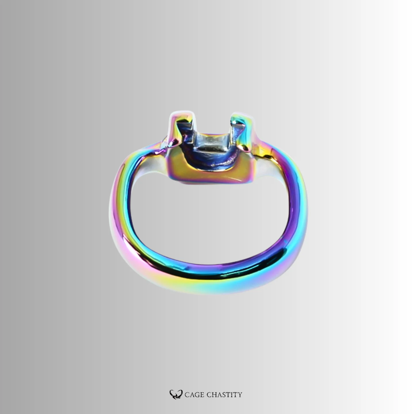 Holy Trainer V4 Rings – Steel – AC22