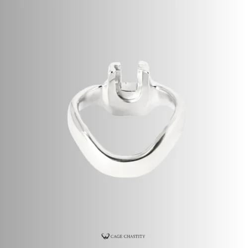 Holy Trainer V4 Rings - Steel