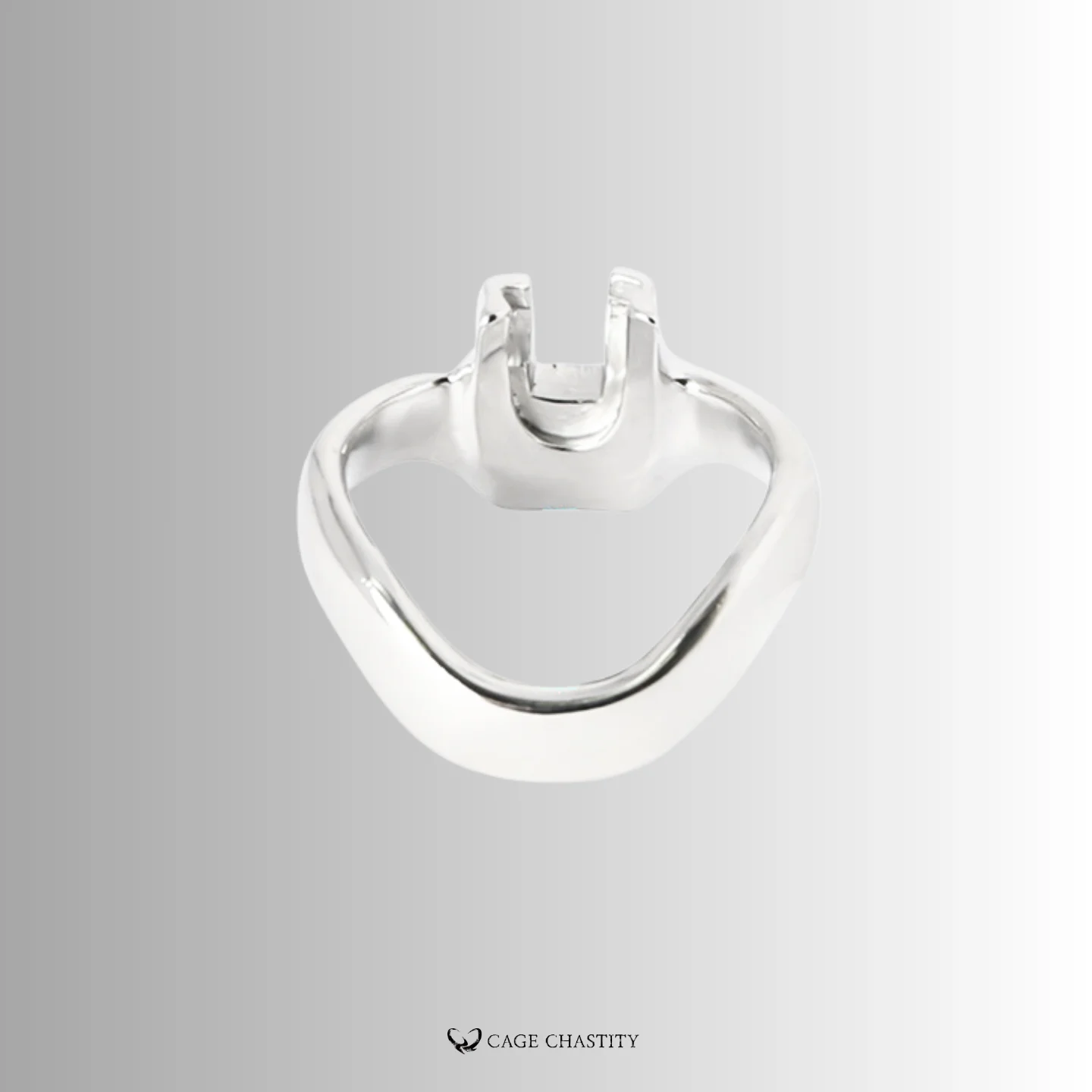 Holy Trainer V4 Rings – Steel – AC22