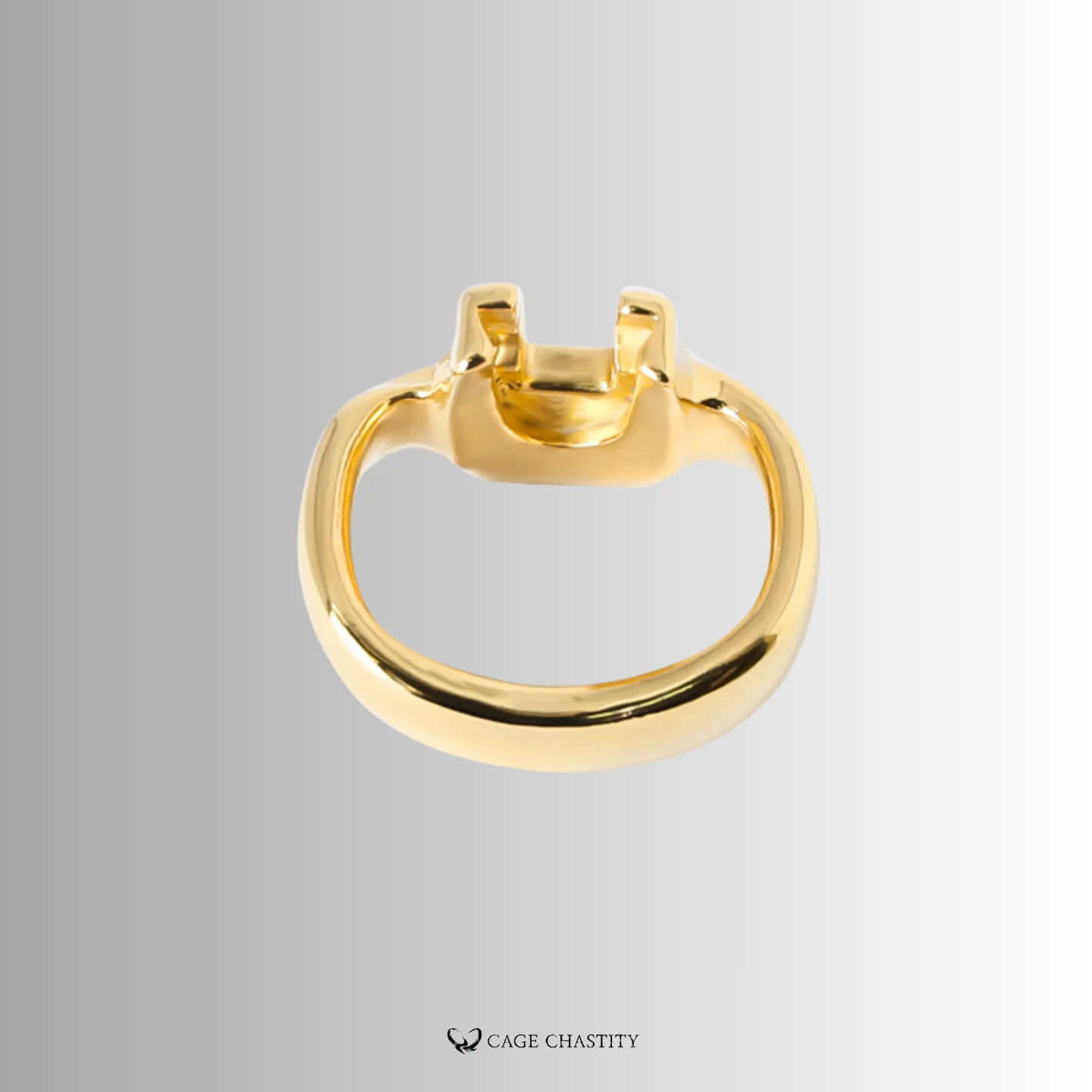 Holy Trainer V4 Rings – Steel – AC22