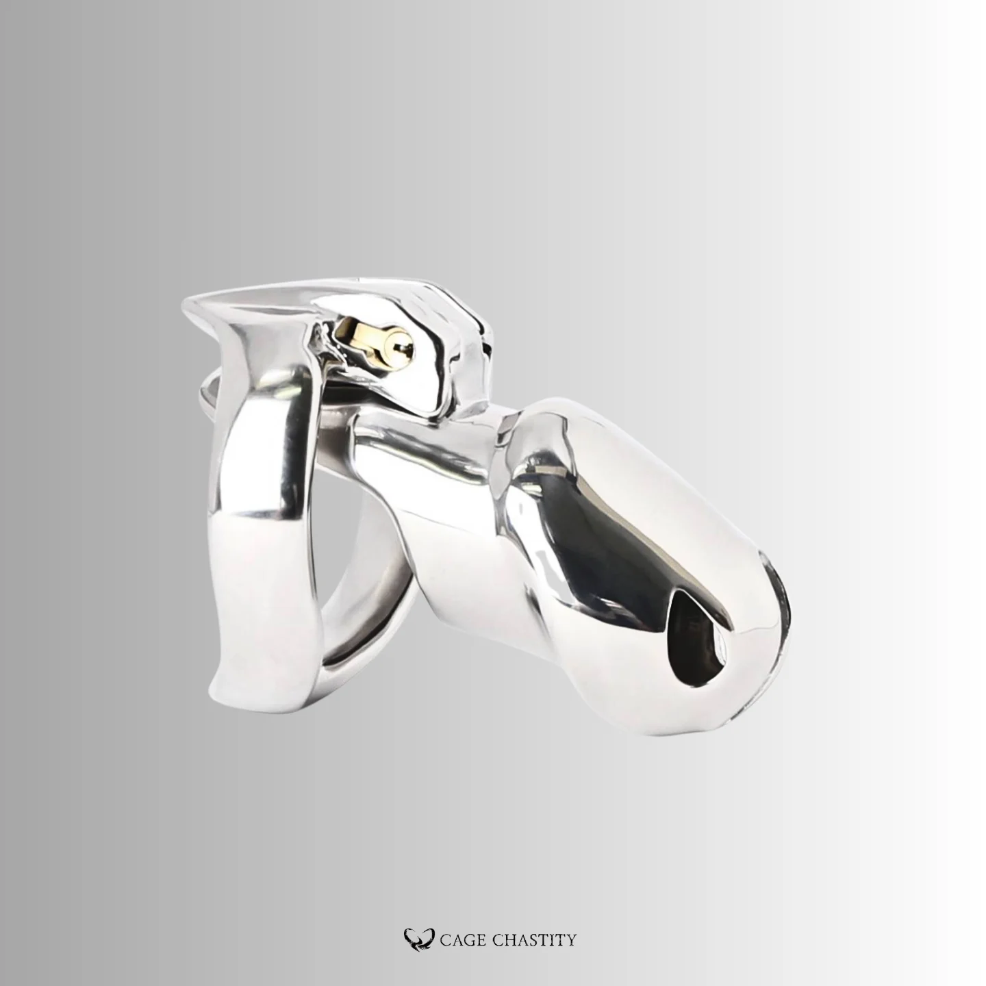 Holy Trainer V4 Rings – Steel – AC22