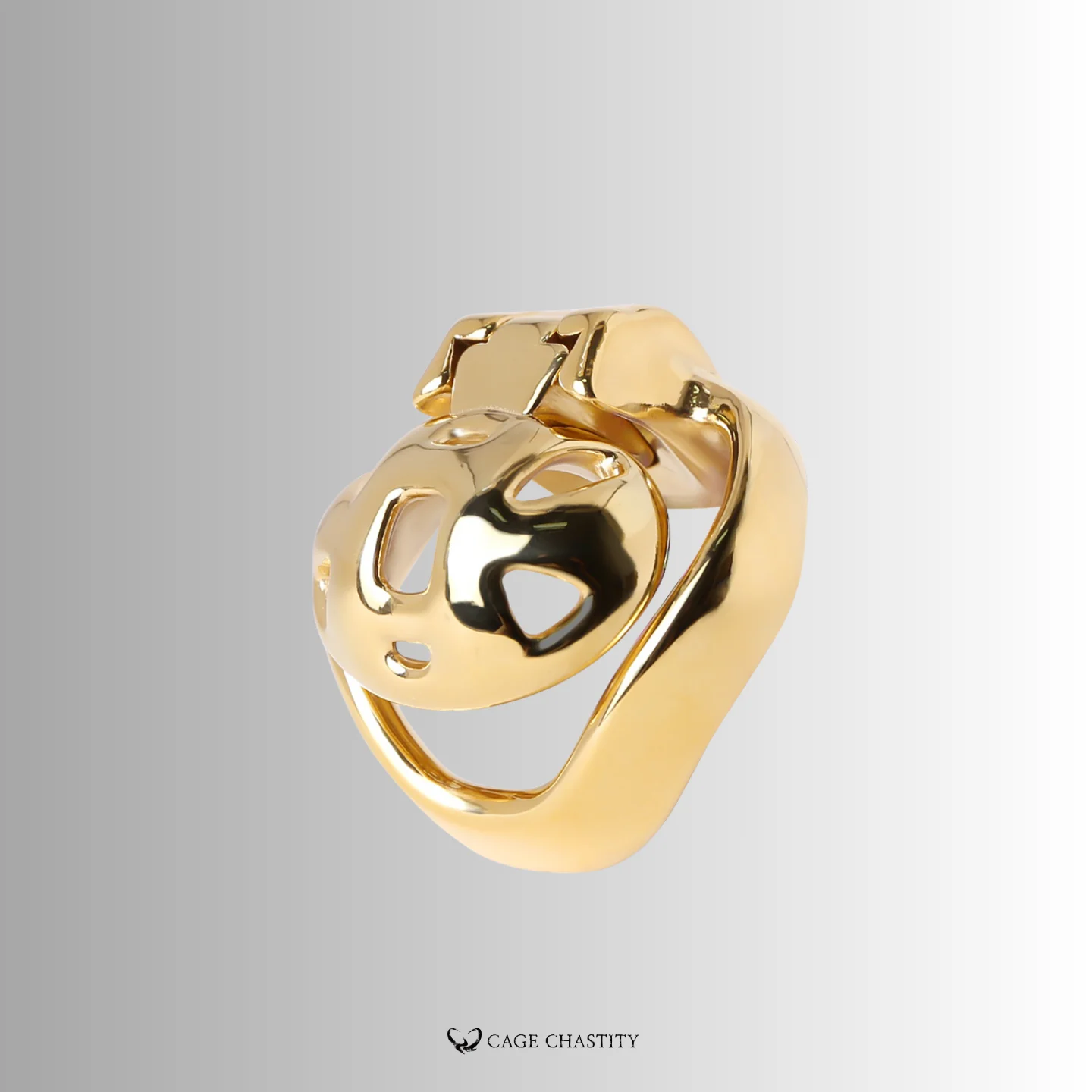 Holy Trainer V4 Rings – Steel – AC22
