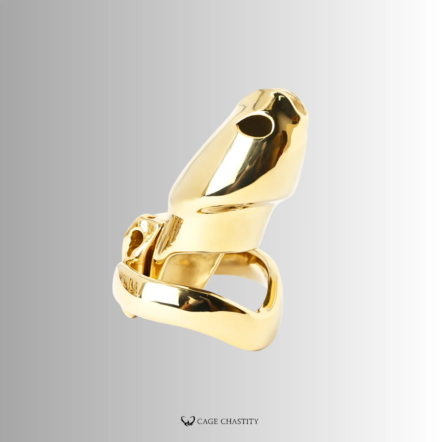 Holy Trainer V4 Rings – Steel – AC22