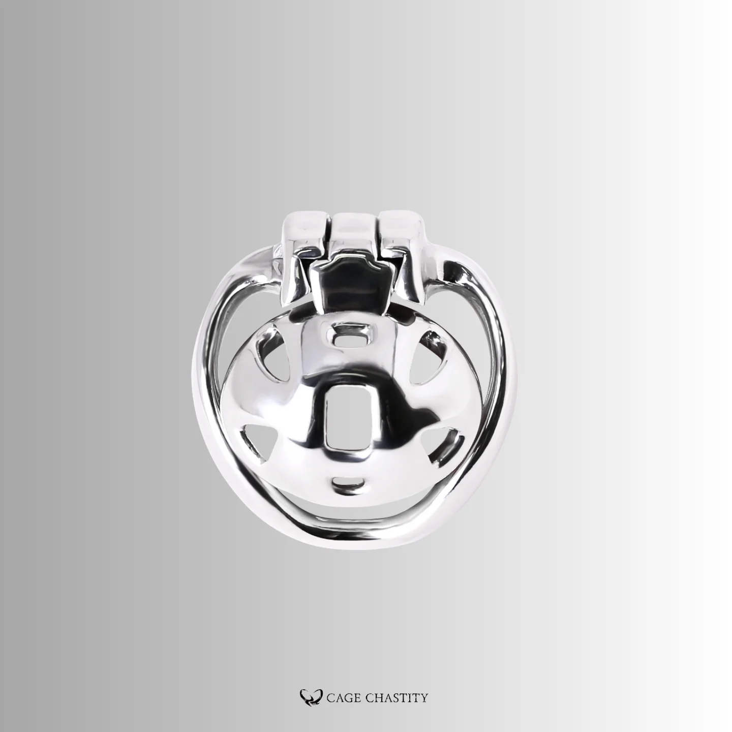 Holy Trainer V4 Rings – Steel – AC22