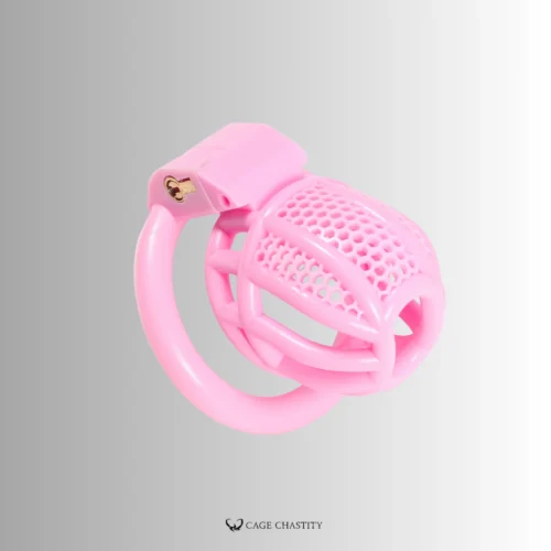 pink beehive cage with lots of venting holes on the top surface