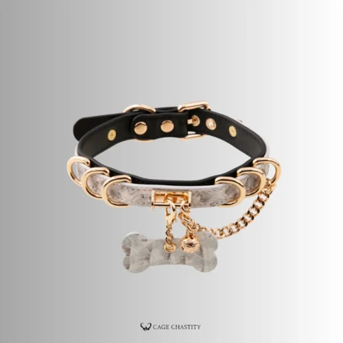 the collar with bone tag and gold chain attached