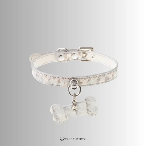 the front view of the silvermark collar