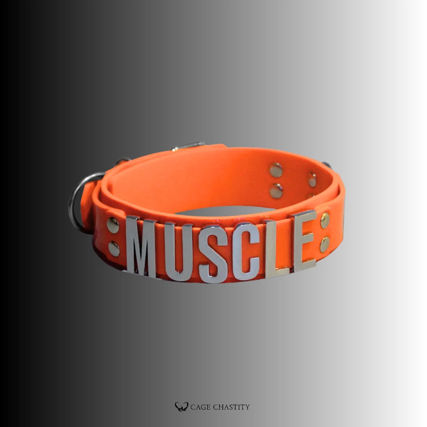 Obedience Silicone Collar – Custom Letter & Color