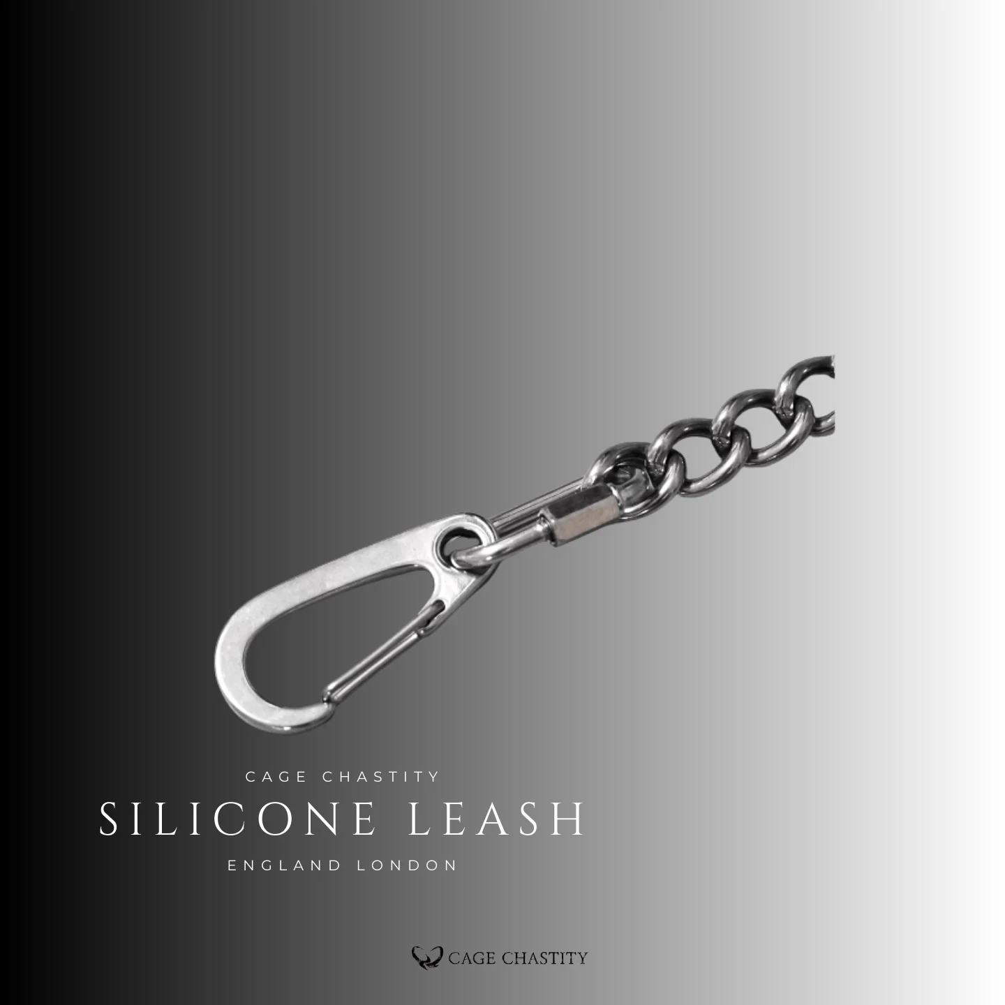 metal leash with silicone collar