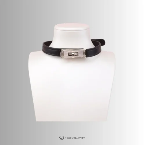black collar with silver kelly lock