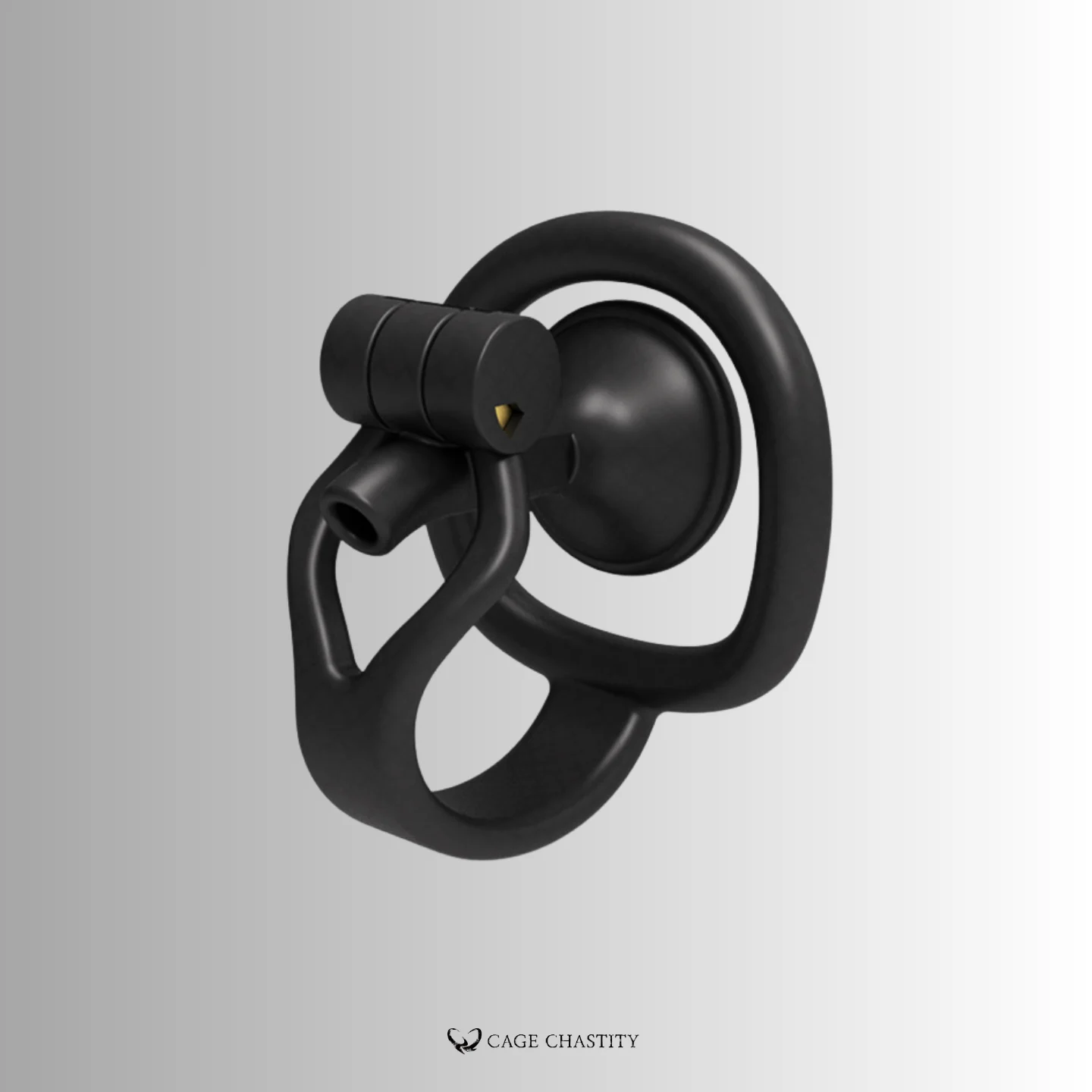 the front view of the cage