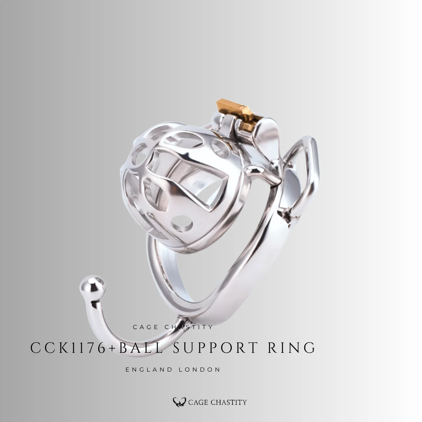 the cage with ball support ring