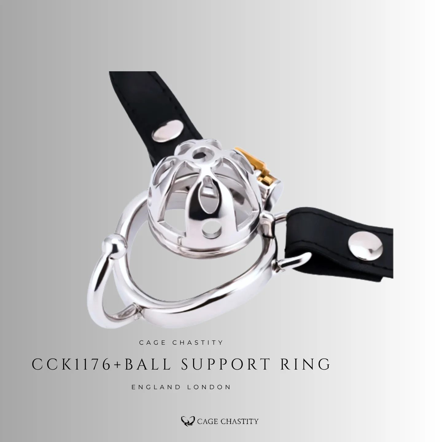 the cck1176 cage with ball support ring