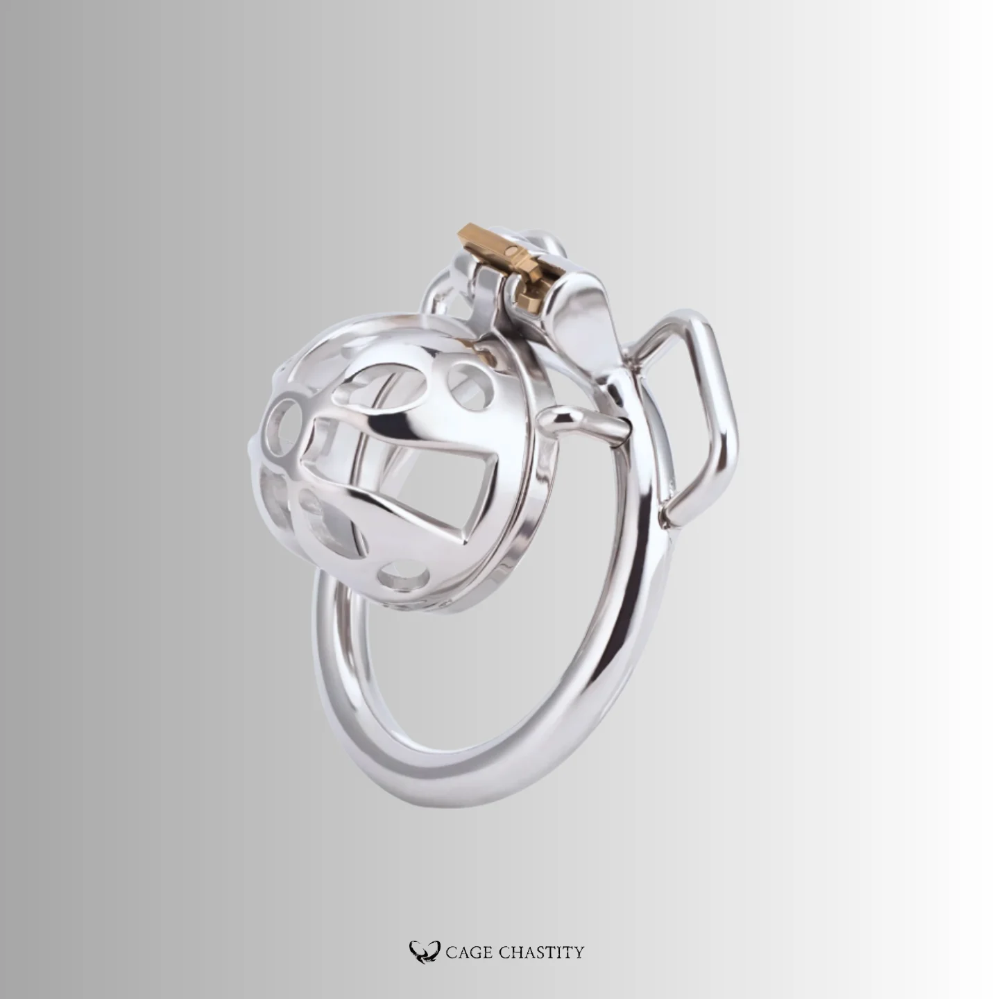 the cck1176 most secure chastity cage