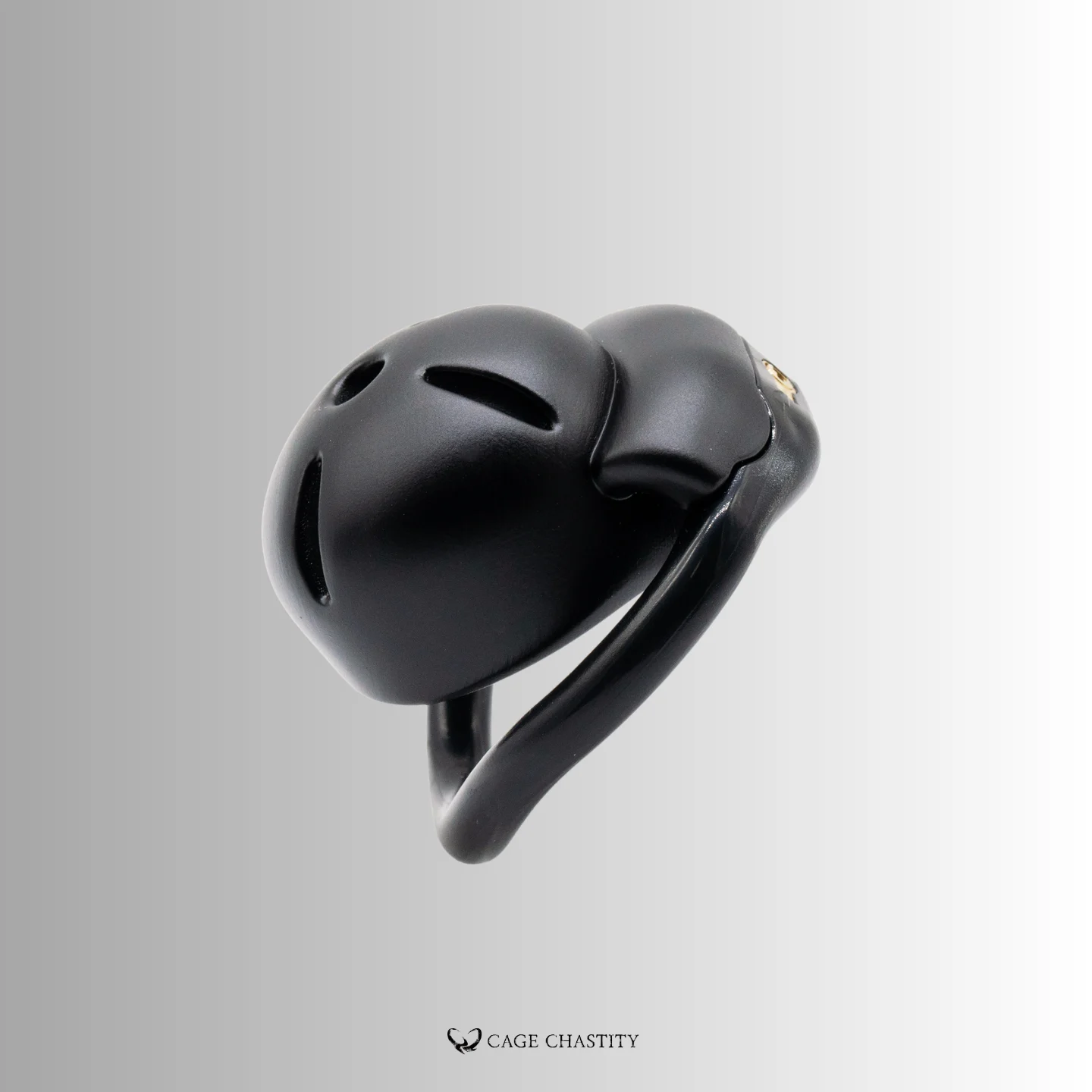 side view of the aegis cage with upgraded lock core