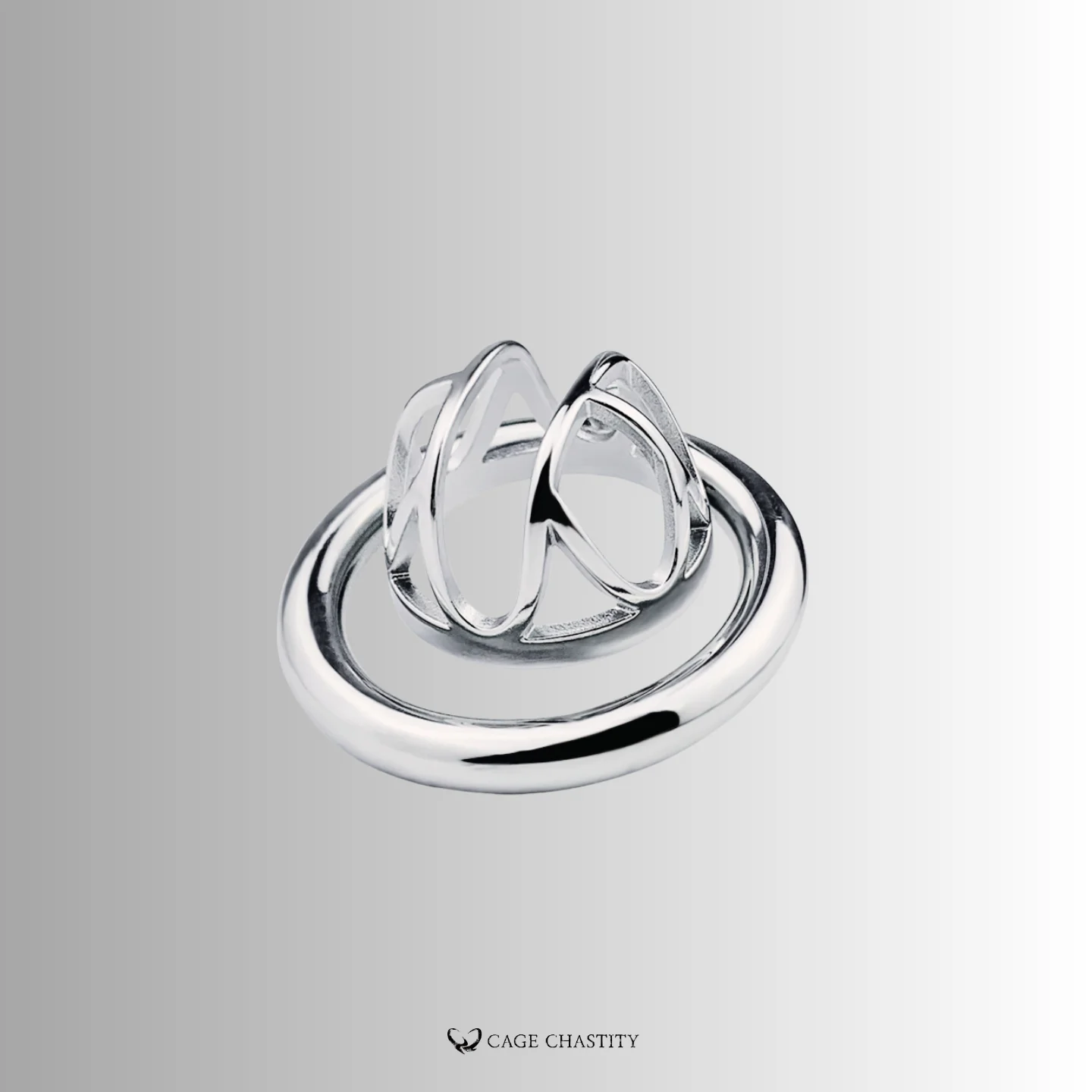 ccs1202 cage with flat ring