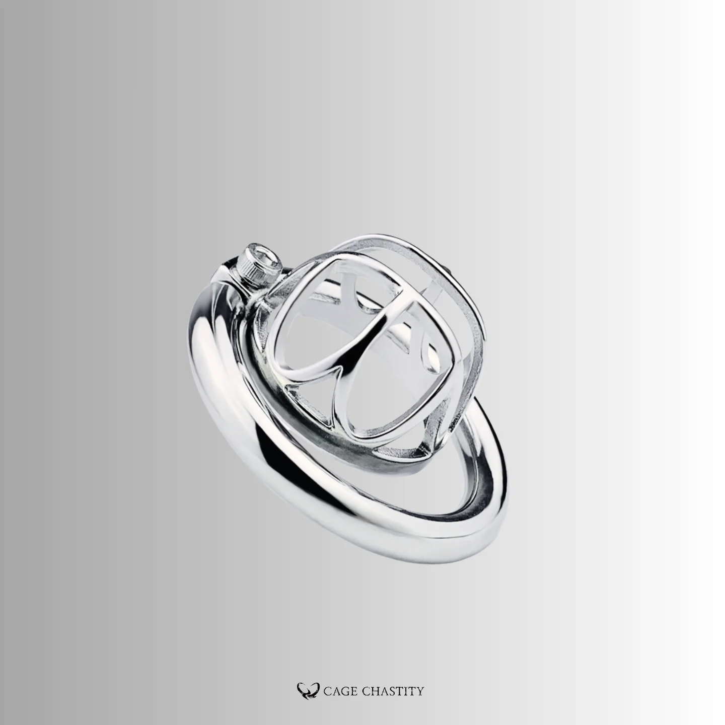 the single hex lock ccs1202 cage