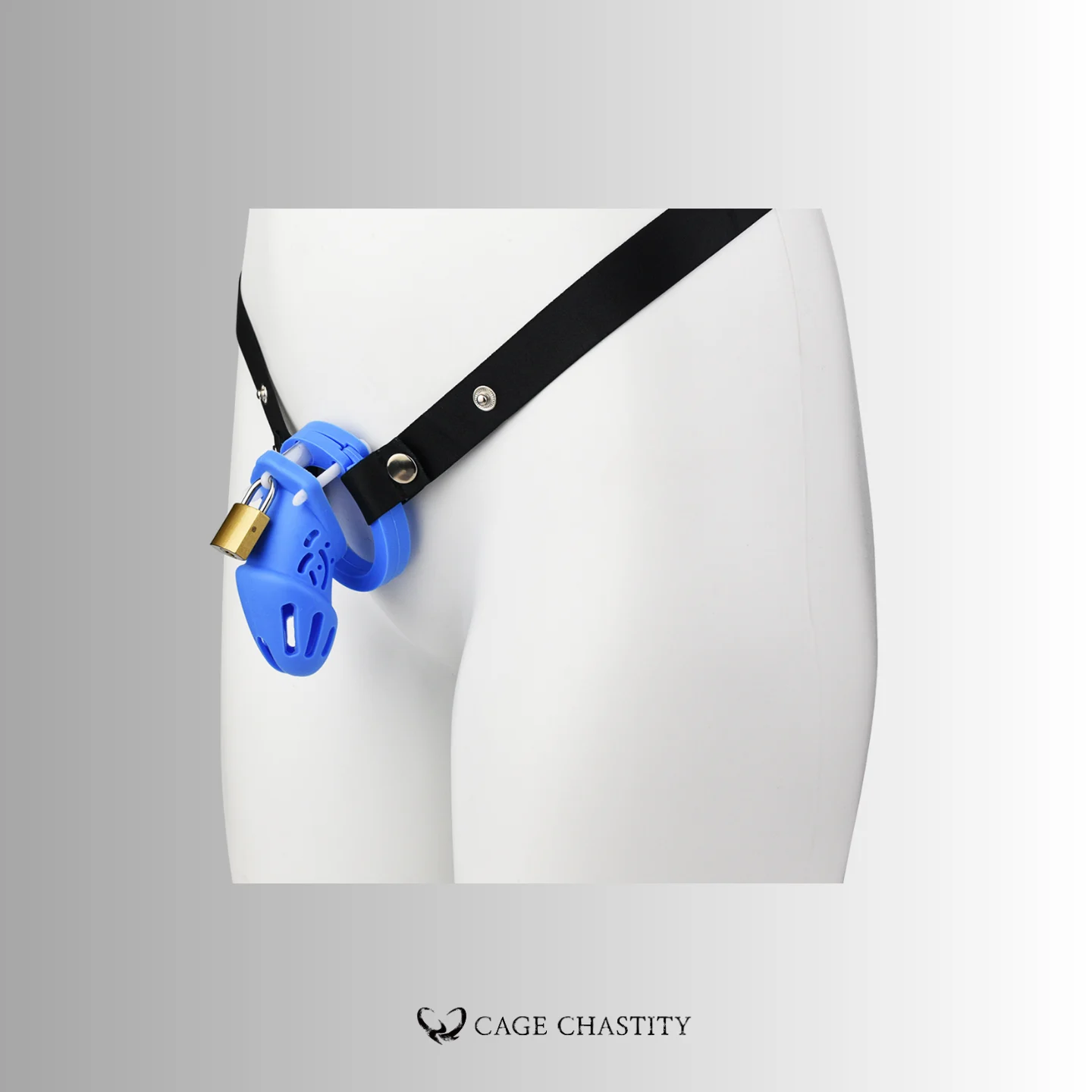 the black strap with blue cage and a traditional bareel lock