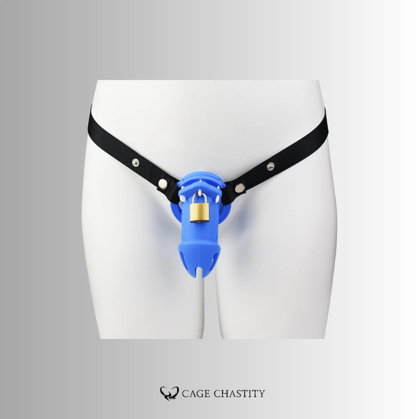 the front view of the blue silicone cage