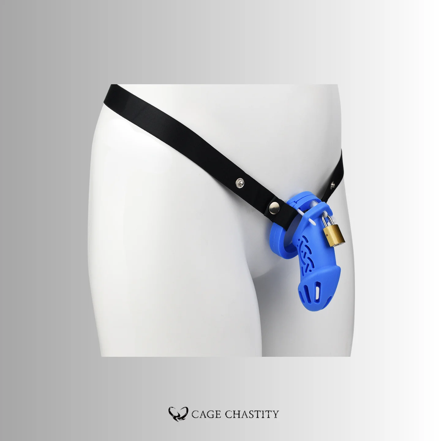 the large size blue cage