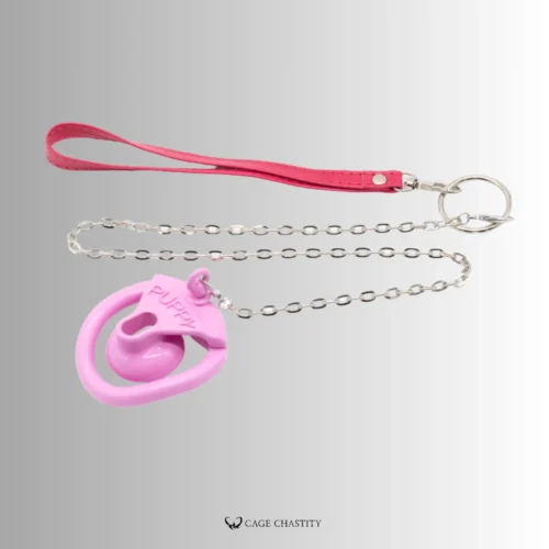 the red leash with metal chain attached to the lock