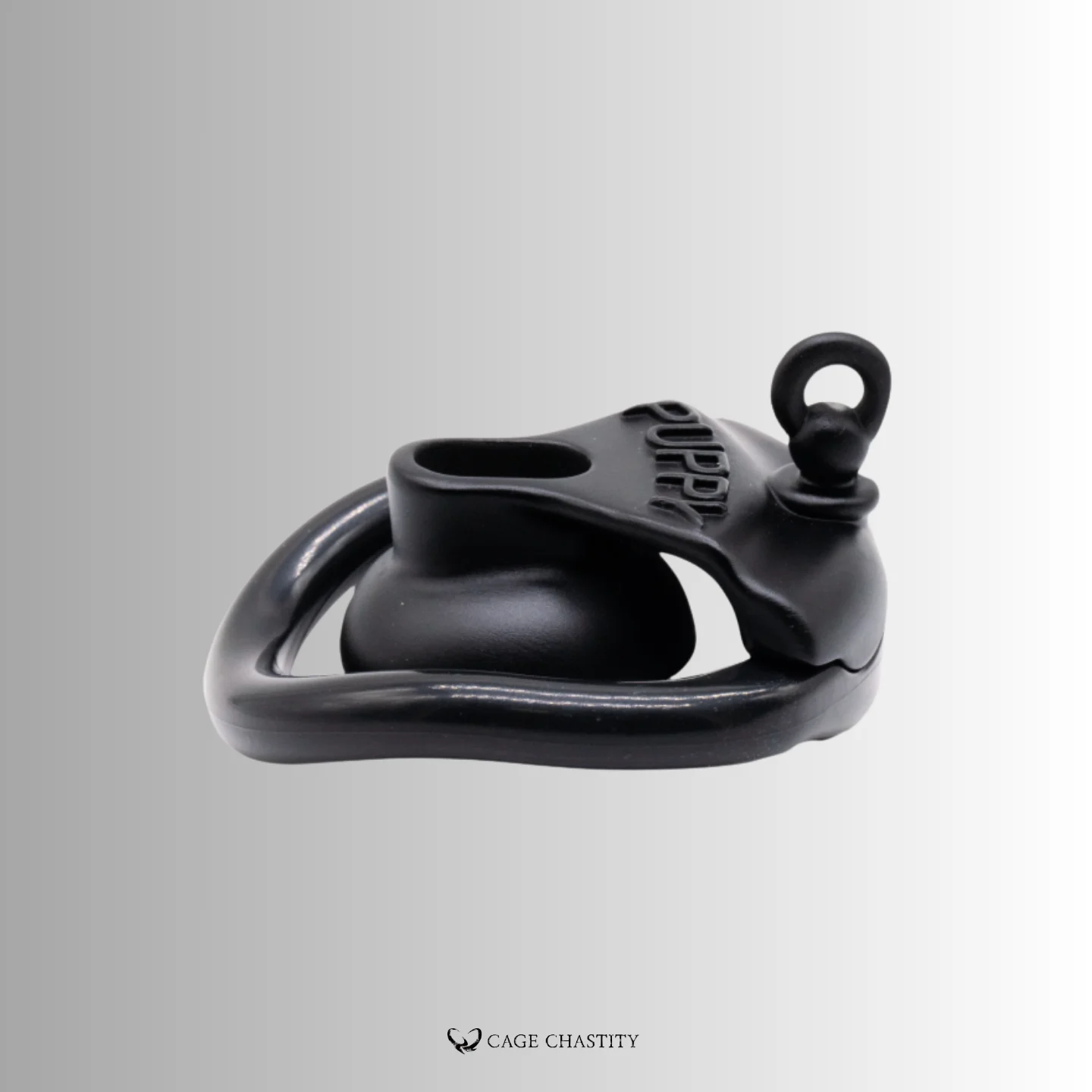 the inside details of the black discpline leash lock