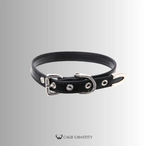 the details of the buckles