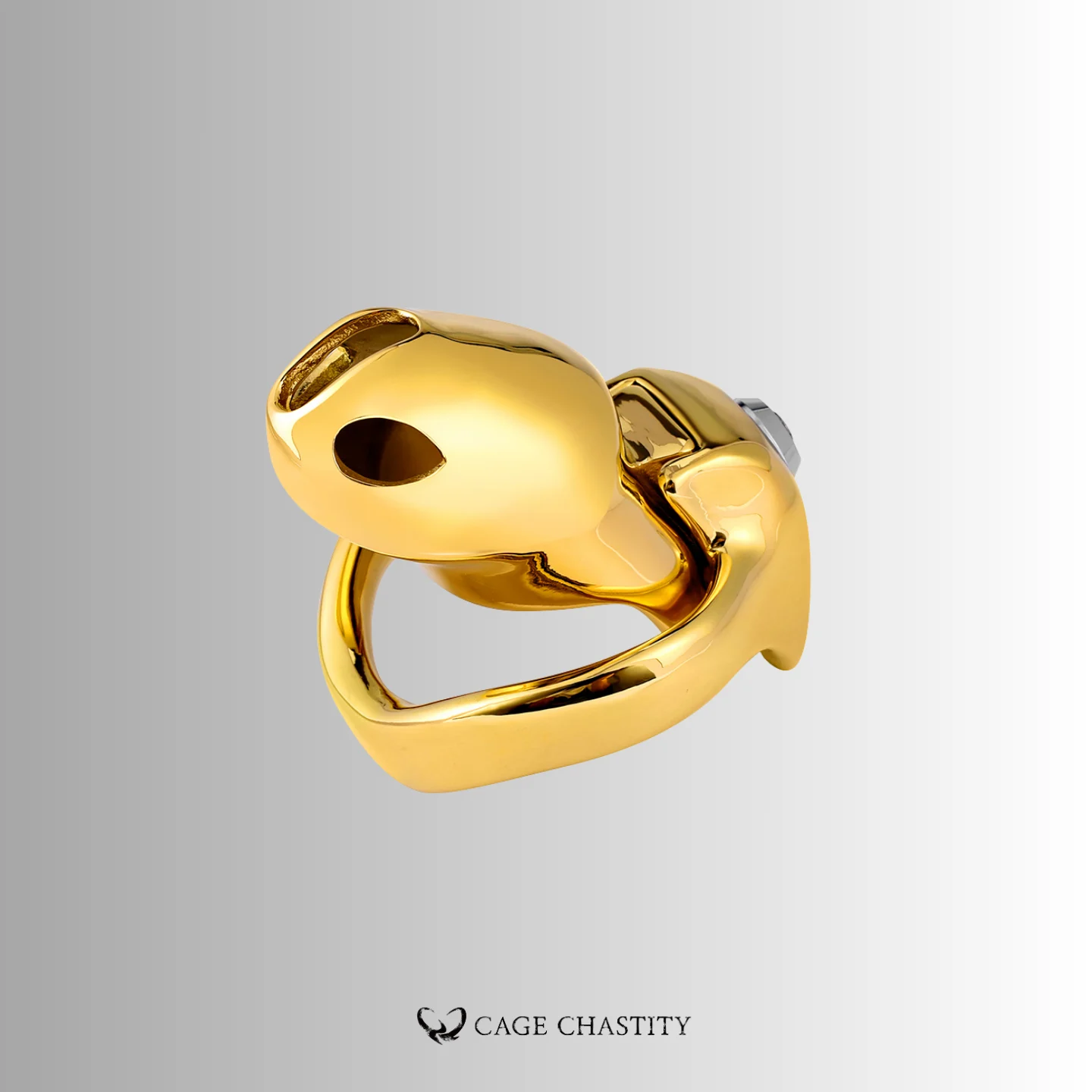 the gold holy trainer locked up