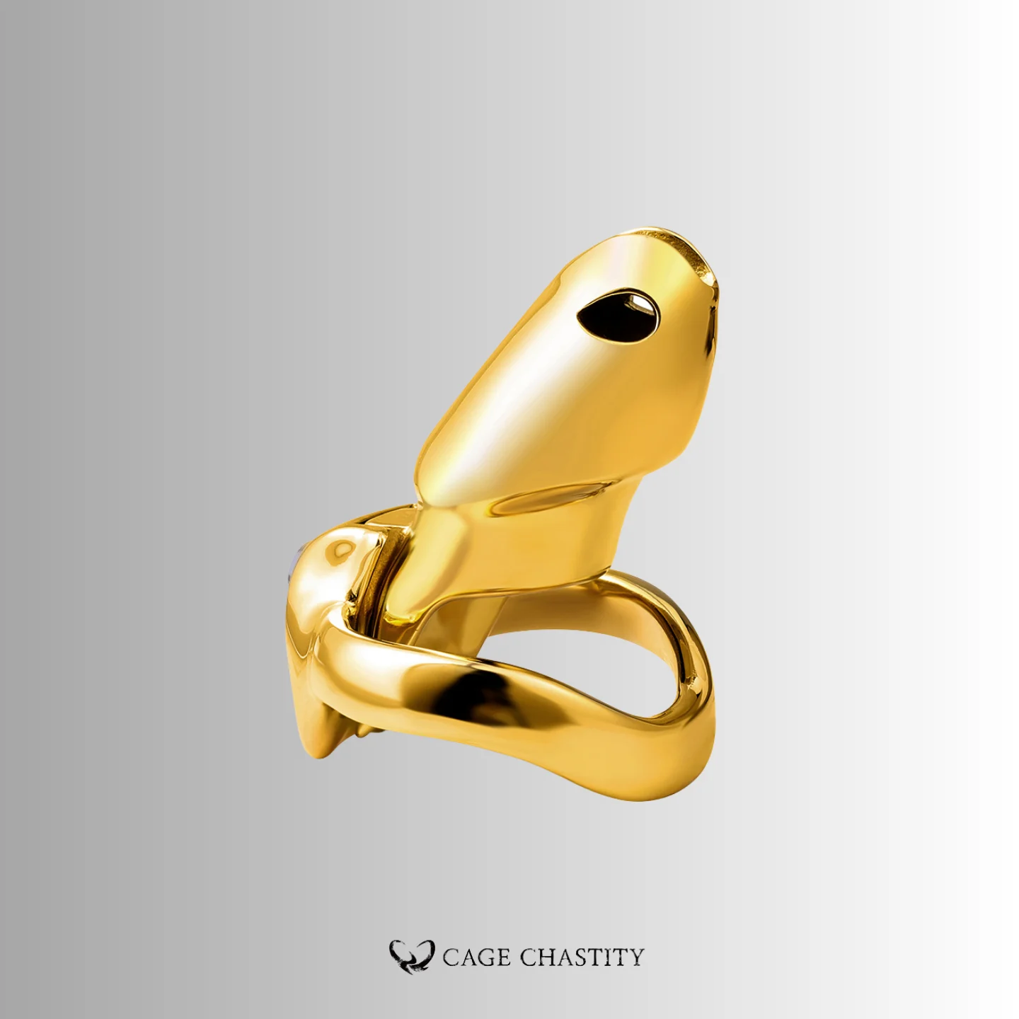 the bottom of the htv5 gold edition