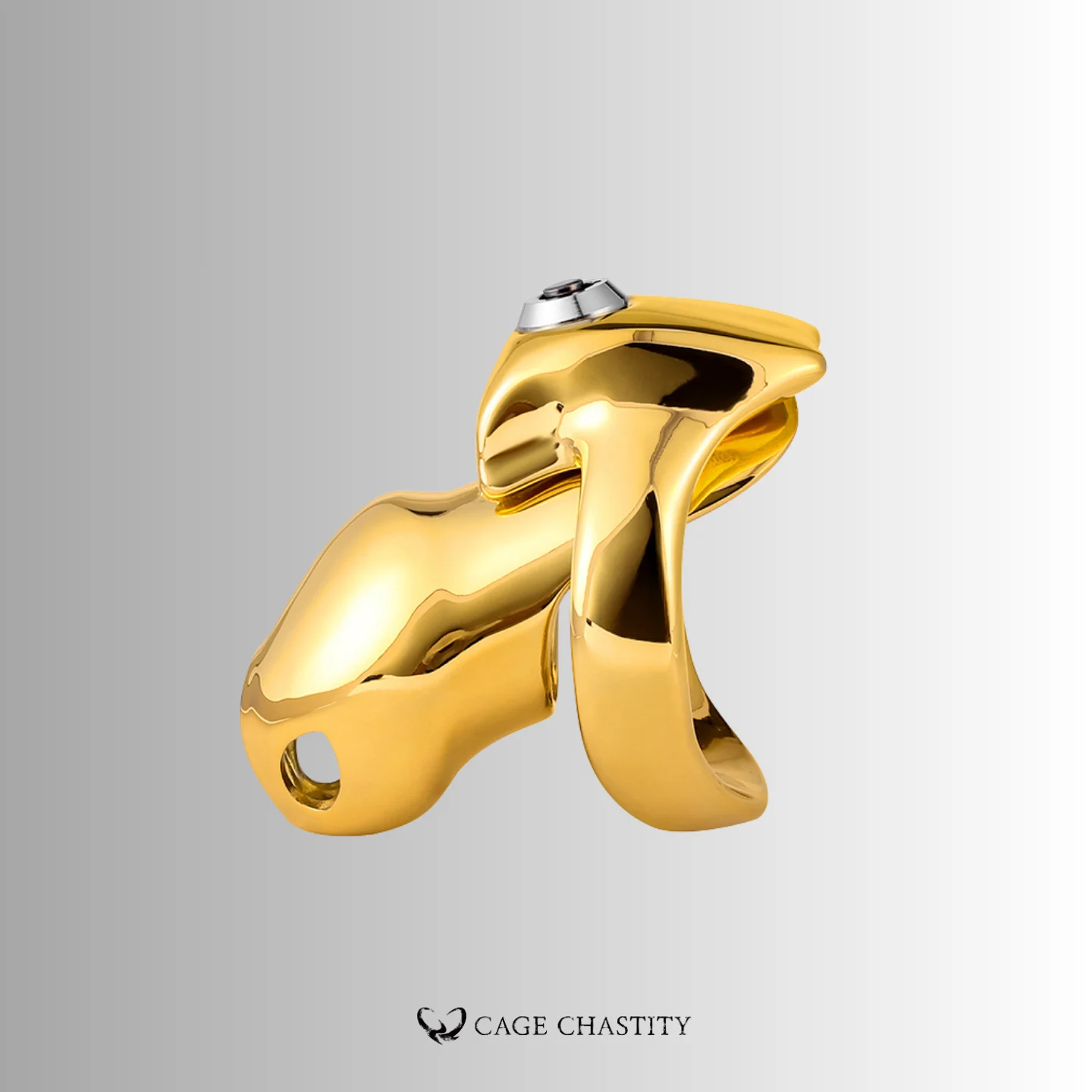 the side view of the gold htv5 standard size