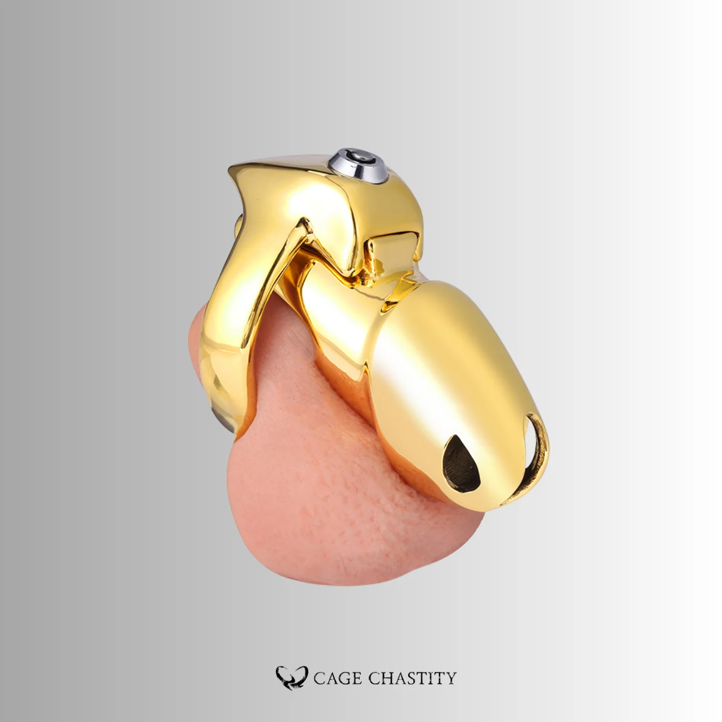 the maxi size of htv5