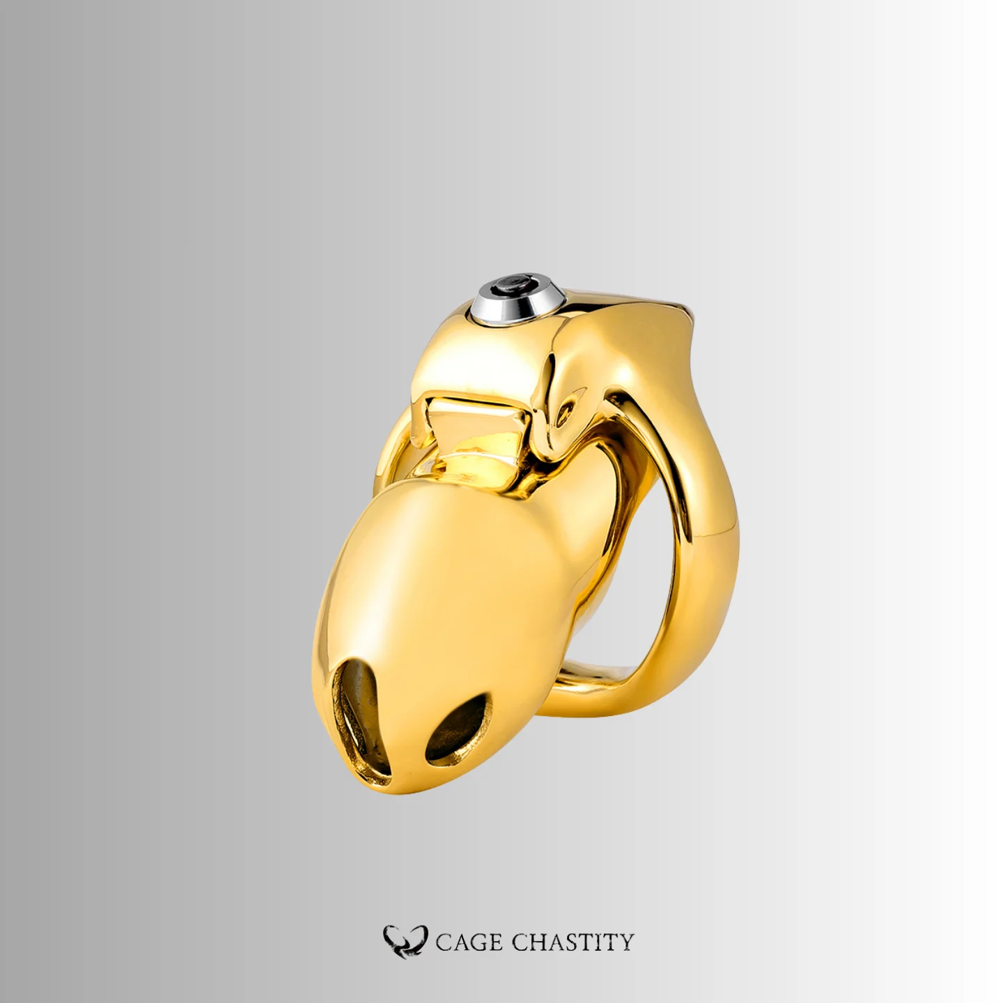 the front view of the small htv5 in gold color