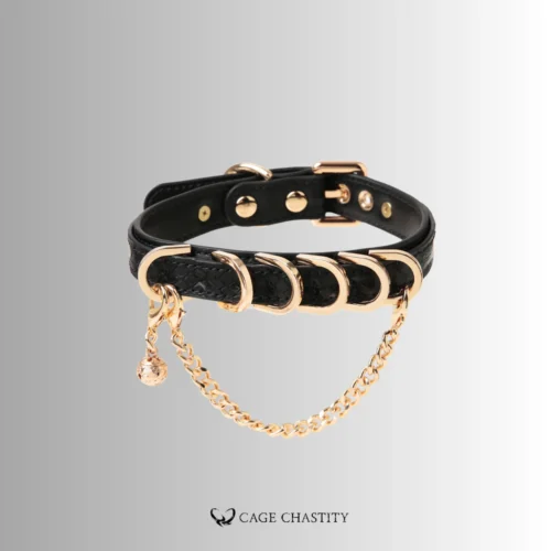 the front view of the golden bite collar