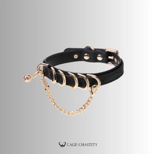 the collar with gold decorations