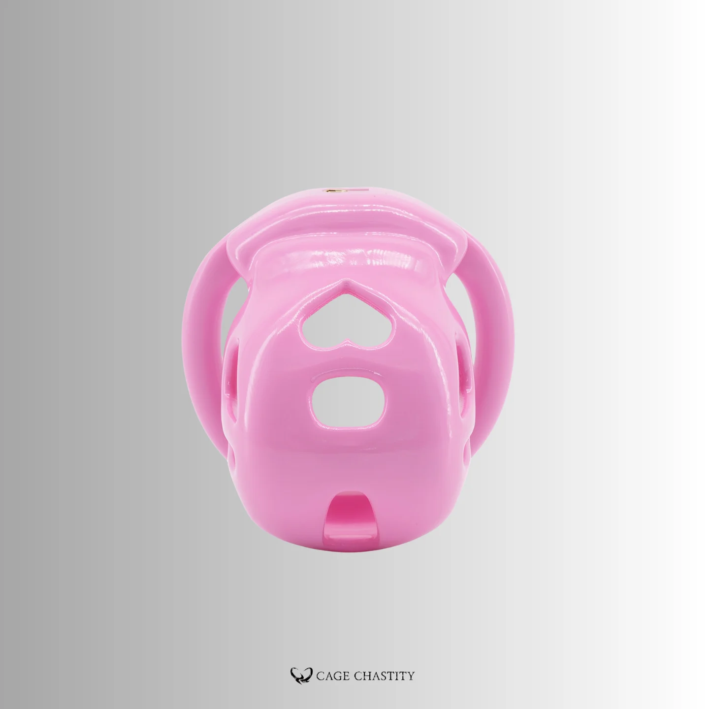 the front view of the cage tube