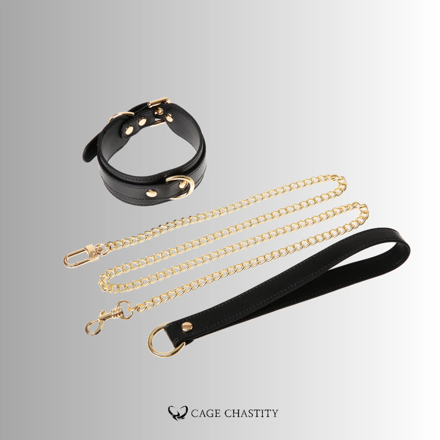 the gold chain leash and collar
