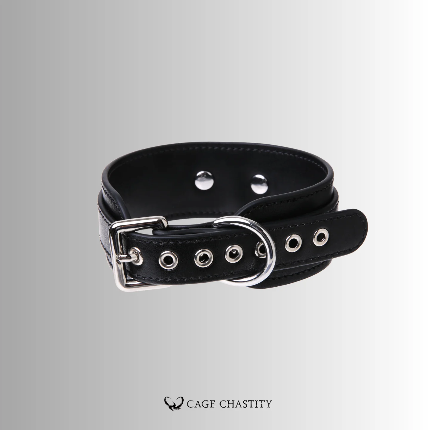 the collar with silver hardware