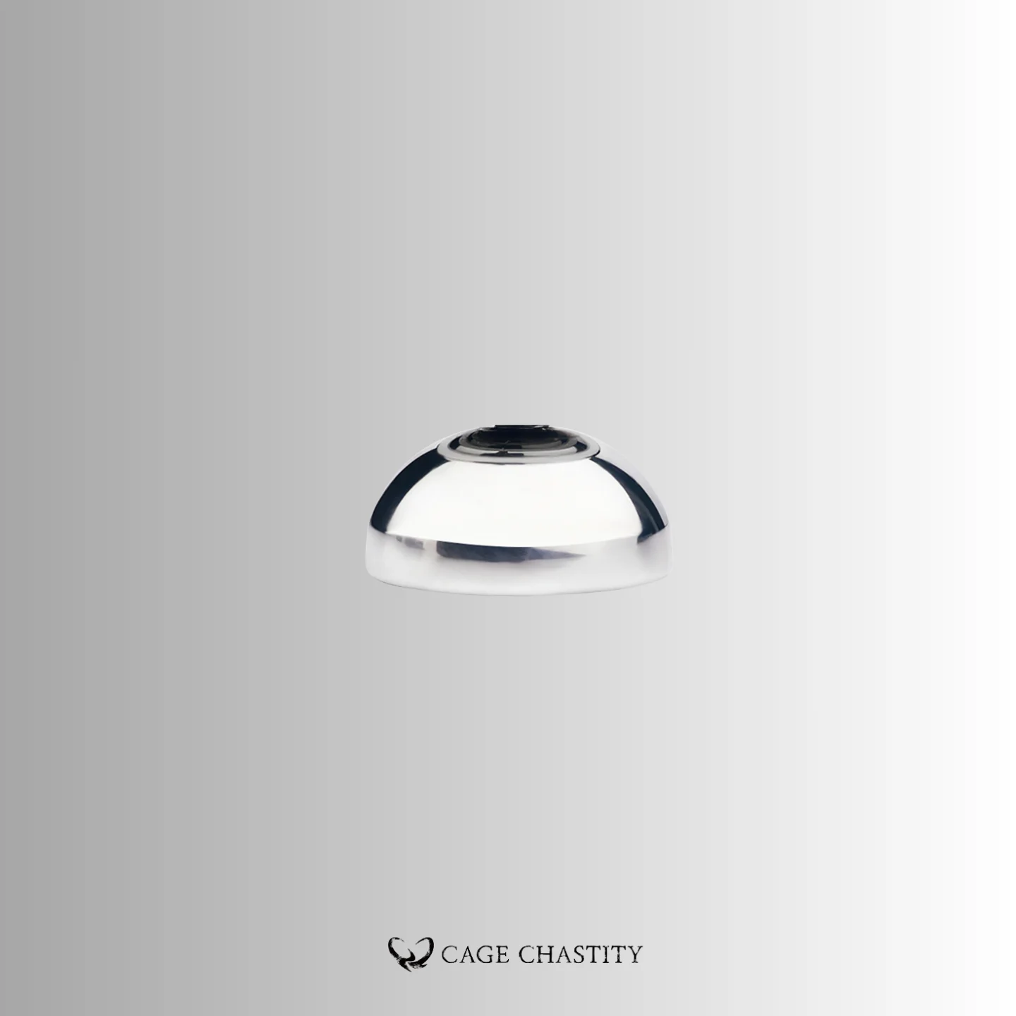 the ucap dome well polished stainless steel