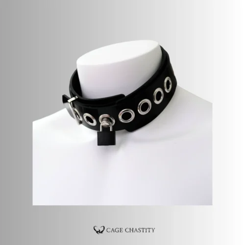 the paddle lock on the neck