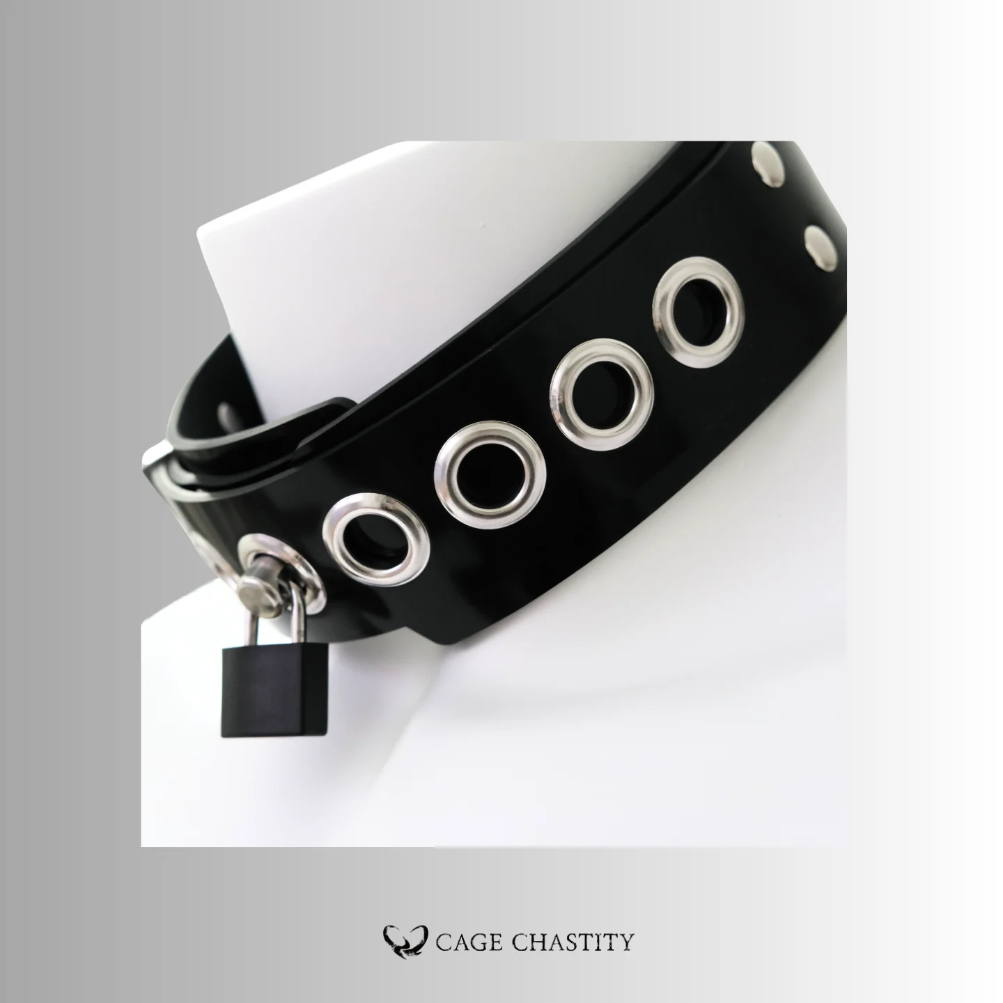 metal lock of the collar