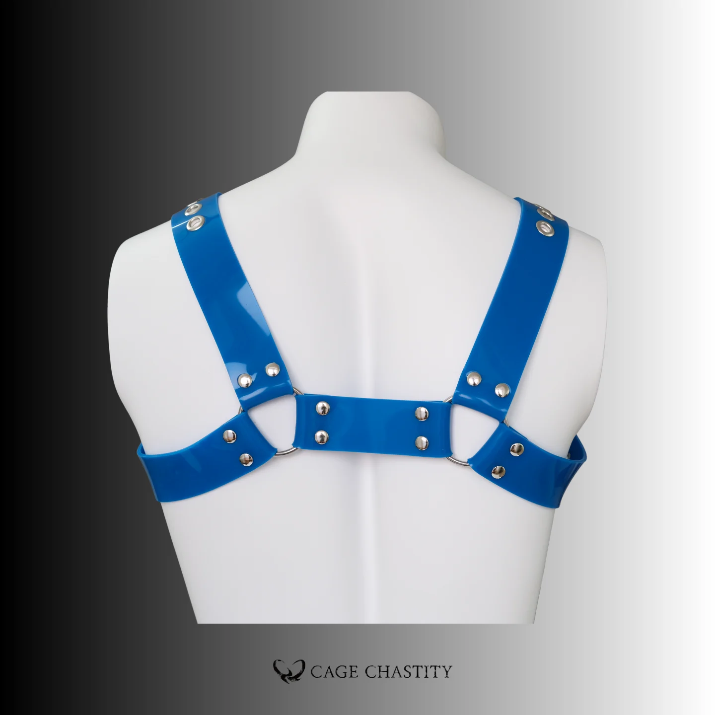 the blue silicone chest, back view